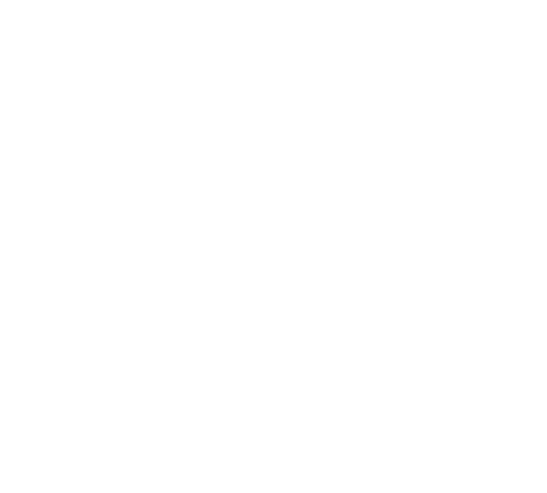 XP - Cursos para RPPS